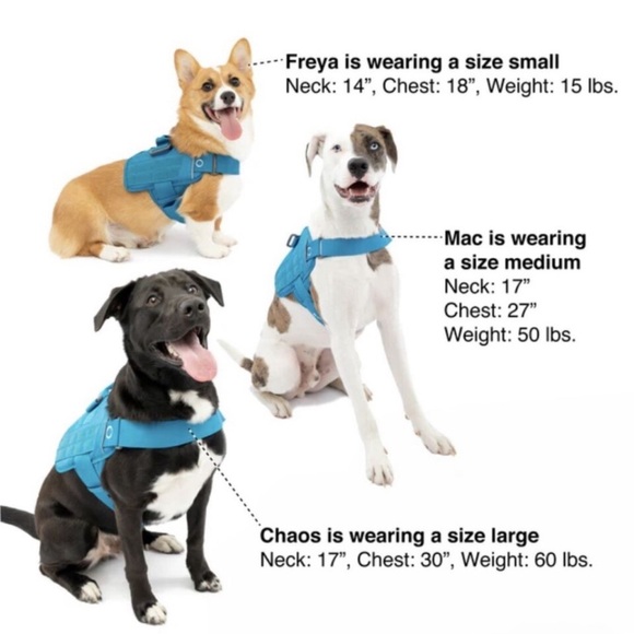 NWT Kurgo RSG Townie Harness Multiple Sizes BENEFITS ANIMAL RESCUE** - Picture 10 of 14